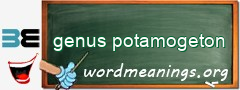 WordMeaning blackboard for genus potamogeton